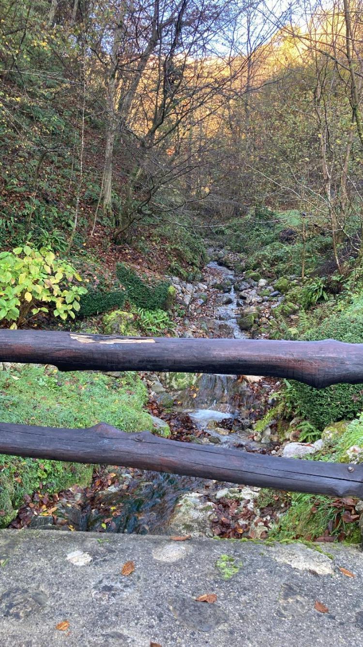 Cascina Uertigher Gorno Exteriör bild