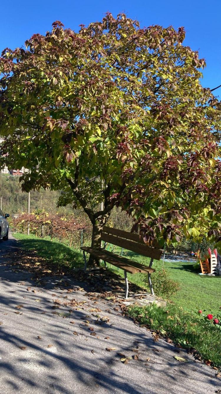 Cascina Uertigher Gorno Exteriör bild